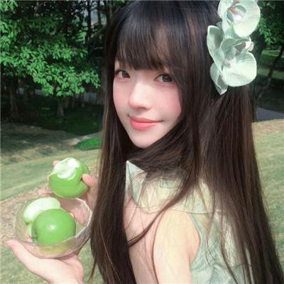 豹